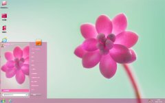 保护眼睛红花win7主题
