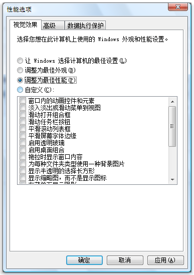 “性能选项”对话框的图片