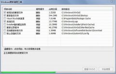 Windows更新清理工具(WinSxS文件清理优化工具)V8.19 绿色版