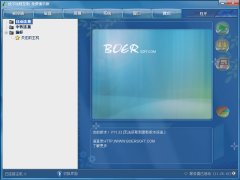 波尔远程控制软件(远程监控管理工具)v12.03 绿色版