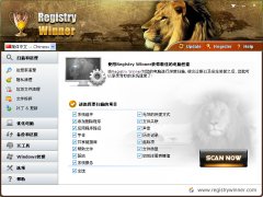 Registry Winner(专业注册表错误清理软件) v6.8.9.19 中文绿色版