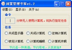 闲置管理专家(电脑系统闲置设置工具) V1.2  绿色版