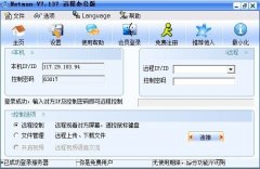 Netman网络人远程控制软件 v7.141 官方办公版